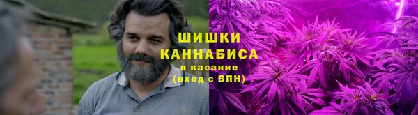 хмурый Алзамай