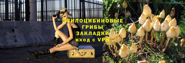 хмурый Алзамай