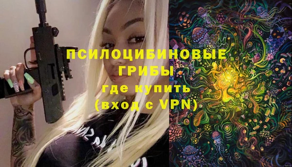 хмурый Алзамай